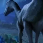 Troodon (Arctic Dinosaurs) (NOVA)