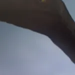 Troodon (Planet Dinosaur) (2011)