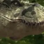 Patch (Tarbosaurus: The Mightiest Ever)