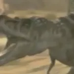 Thorn (Wonderbook: Walking with Dinosaurs)