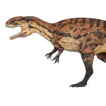 Siamraptor