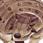 Tarchia (Jurassic Park Institute)