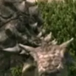 Tarchia (Dinosaur Alive)
