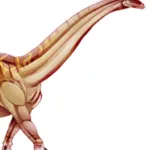 Titanosaurus (Jurassic Park Institute)
