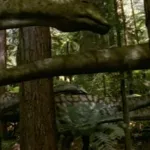 Titanosaurus (Prehistoric Park)