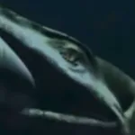 Tylosaurus (Prehistoric Monsters Revealed)