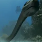 Tanystropheus (Sea Monsters)