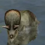 Torosaurus (Jurassic Park: Operation Genesis)