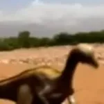 Thescelosaurus (Dino Autopsy)