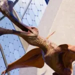Tropeognathus (Jurassic World Evolution)