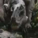 Utahraptor (King Kong)