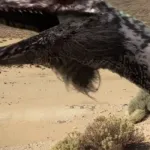 Utahraptor (Dinosaur Revolution)