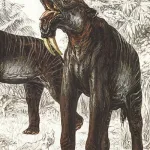 Chilgatherium