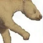 Octodontotherium