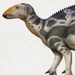 Sirindhorna