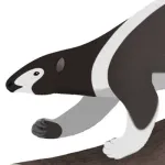 Hapalops