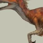 Velociraptor (Animal Armageddon)