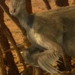 Velociraptor (Dinosaur Planet)