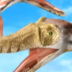 Velociraptor (Dinosaur King)