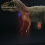 Yutyrannus (Dino Birds) (NOVA)