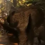 Zuniceratops (When Dinosaurs Roamed America)