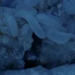 SKYWALKER, SQUISH - TAUNTAUN GUTS