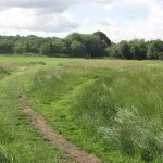 Hampstead Heath