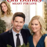 A Godwink Christmas: Meant for Love