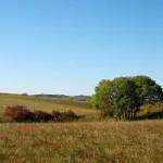 Inner Mongolia