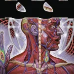 Lateralus (album)