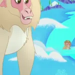A Snow Monkey's Home
