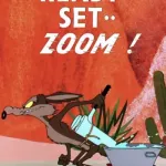 Ready, Set, Zoom!