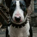Rocket (Emmet Reese & Roger)