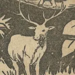 Bara (Tarzan)