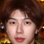 Li Zhekun