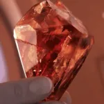 The Phoenix Gem (Onward)