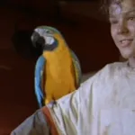 Mac the Macaw (The Real Macaw)