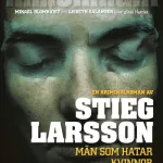 Men Who Hate Women (Novel)