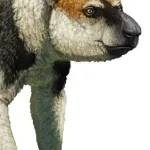 Megaladapis