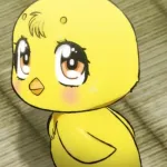 Kimoy Lee