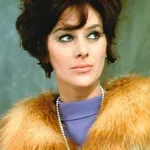 Sue Lloyd