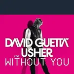 Without You (David Guetta song)