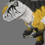 Yutyrannus