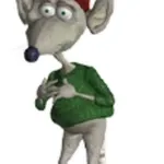 Pompon Rat