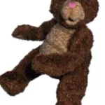 Teddy (Caillou)