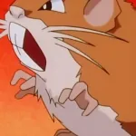 Raticate