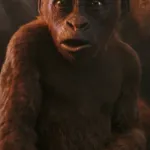 Suko (Godzilla X Kong)