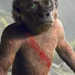Suko (Godzilla X Kong)