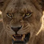 Zira (Viola Davis)
