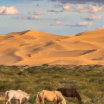 Mongolia
